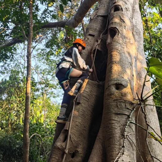 云南亲子 | 西双版纳基诺雨林1日徒步+夜探 ，专业科普老师+当地基诺族向导双导师带队，每天可发，适合亲子出行，反向玩基诺雨林徒步！ 商品图1