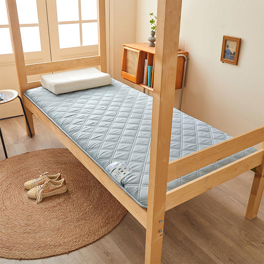 自然醒氧乐棉抗菌三明治加厚学生床垫垫褥软垫家用褥子垫背宿舍榻榻米垫子褥子LN 商品图6
