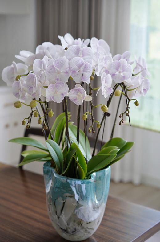 现代简约水墨纹花瓶渐变小口鲜花台面家居样板房装饰工艺品摆件 商品图14