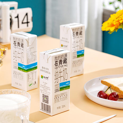 【光明&小西牛】青藏奶源盒装纯牛奶 全脂灭菌礼盒装纯牛奶 250ml*10盒/箱 商品图7