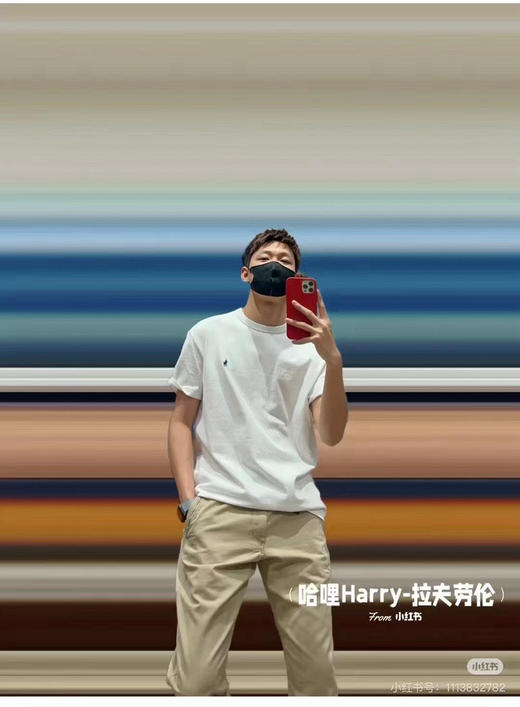 拉fu劳伦经典版型男士 T 恤 商品图4