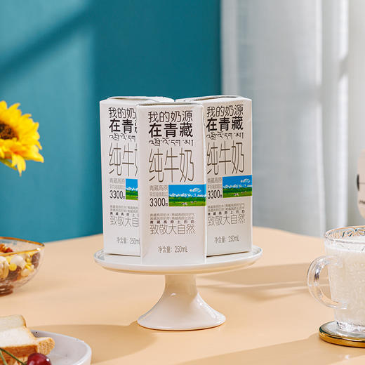 【光明&小西牛】青藏奶源盒装纯牛奶 全脂灭菌礼盒装纯牛奶 250ml*10盒/箱 商品图11