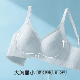 【大胸显小】双重侧收提拉防下垂内衣女全包显瘦收副乳无钢圈文胸长歌轻舞