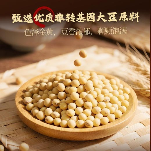 【10包小袋尝鲜】黑色经典长沙臭豆腐12g 香辣蒜香两种口味 小包装便携装 商品图2