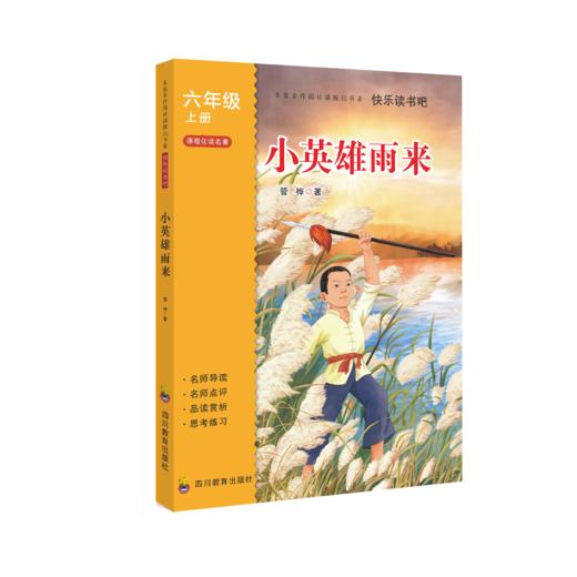 2025年秋季快乐读书吧 全套/单本（6年级上）童年+爱的教育+小英雄雨来 商品图3