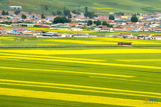 航拍中国——青海大环线：探秘西北壮美风光深度12天（越野车） 商品图12