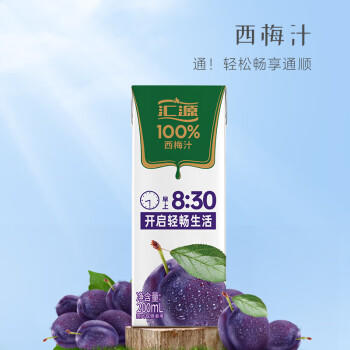 汇源100%西梅汁礼盒装果汁饮料200ml*12盒解腻西梅果蔬汁 商品图0