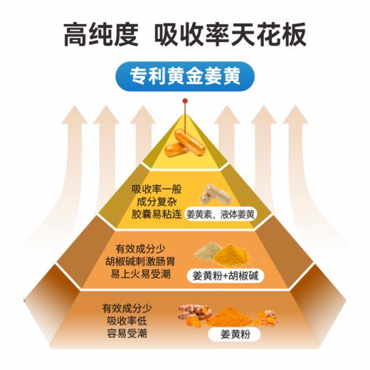 美国BioEmblem保康博黄金姜黄素胶囊 商品图4