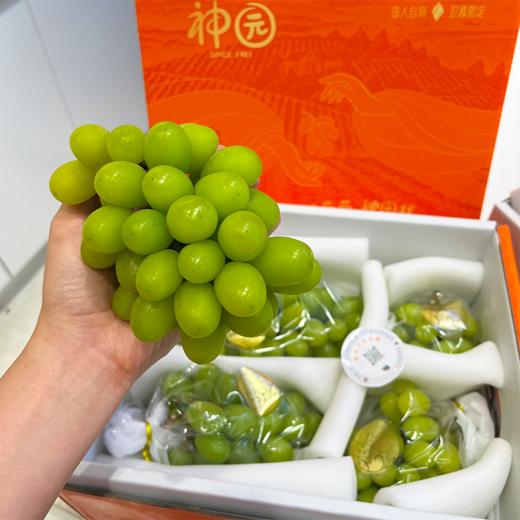 青提 土豪版特级精品 青提 商品图1