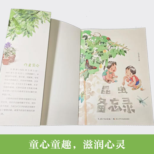 昆虫备忘录 商品图3
