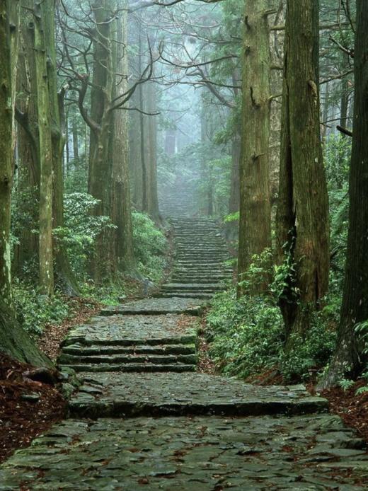 【25/26非雪季】 SPADERS BAM 日本熊野古道6天5晚朝圣之路 徒步活动 商品图1