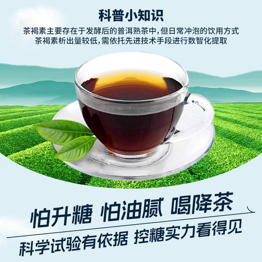 天士力降茶无糖普洱茶饮料0糖0脂0负担 商品图9