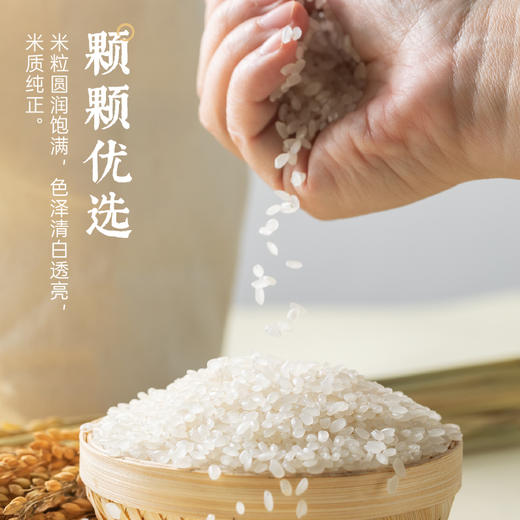 袁谷隆平芯米耐盐碱大米5kg东北大米盘锦粳米10斤真空装当季新米 商品图2