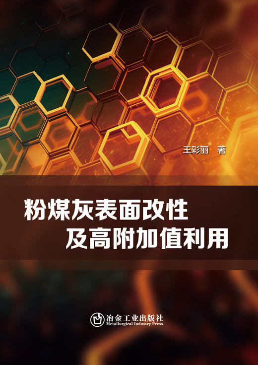 粉煤灰表面改性及高附加值利用 商品图0