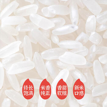 袁谷农场 软香米20斤 五常大米 2025年新米 19266 东北大米 粳稻米 /粮油调味 /米 /稻花香米 商品图5