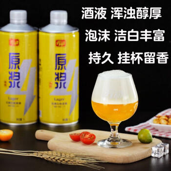 亮动原浆啤酒1L*8桶整箱礼盒装精酿黄啤青岛特产国产全麦酿送礼 商品图3