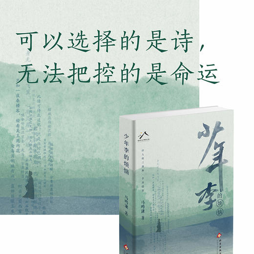 少年李的烦恼 商品图3