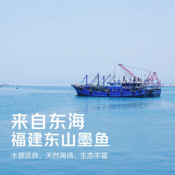 绿帝京觅联名 东海墨鱼干250g 漳州东山 淡晒 大号 海产干货 煲汤食材 商品图4