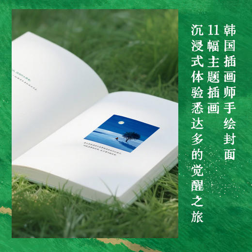 悉达多 商品图4