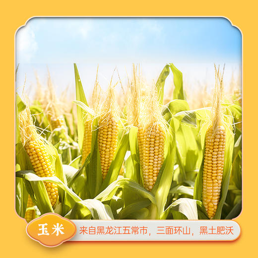 【走娃官方指定合作产品】袁谷碱地二米饭2.5kg盘锦圆粒米五常玉米糁二米饭软糯清香5斤装赠同款300g 商品图3