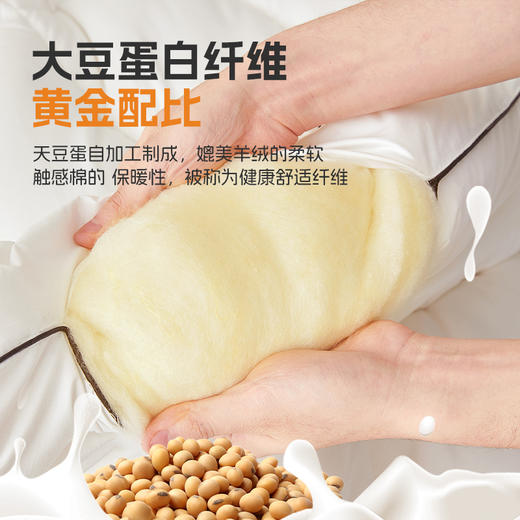 自然醒A类大豆抗菌防螨软床垫五星级酒店家用卧室垫被褥子铺底榻榻米租房专用LN 商品图3