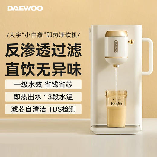 大宇 台式净饮一体机即热饮水机家用净水器机自来水过滤 商品图1