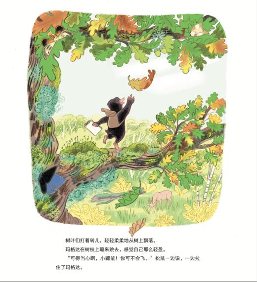 《大自然的魔法课》（全4册） 商品图7