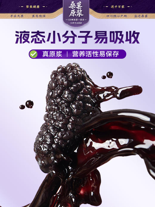 年货节 爆款 头茬 100%黑桑葚NFC原浆 20袋/盒 商品图6