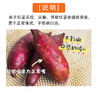 西域美农 朱芷金薯云栗金薯 口感细腻,绵软,风味浓郁 4.8斤 商品缩略图4