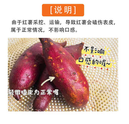 西域美农 朱芷金薯云栗金薯 口感细腻,绵软,风味浓郁 4.8斤 商品图4