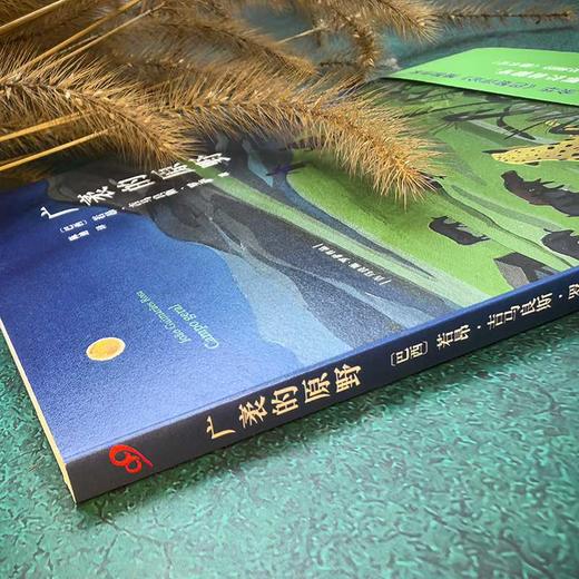 广袤的原野 商品图1