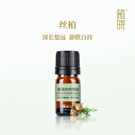 植晓 丝柏精油 5ml 商品图0