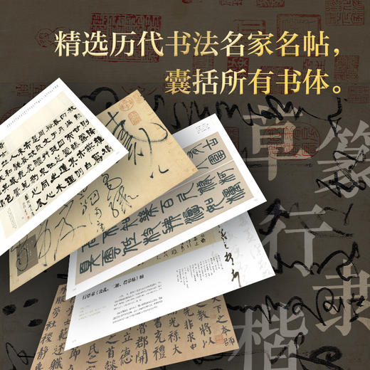 《看书法：一定要知道的100幅中国传世书法》 商品图1
