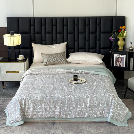 三泰龙 夏季新品莱赛尔天丝夏被印花可机洗夏凉被空调被1207 商品图8