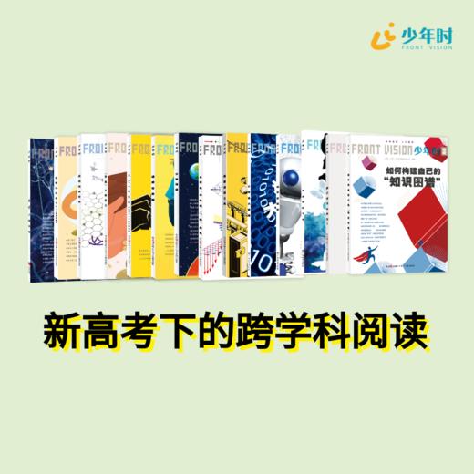 少年时 • 新高考下的跨学科阅读 商品图0