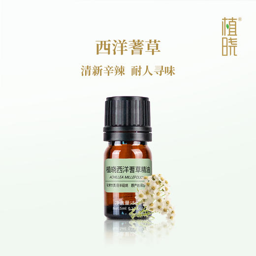植晓 西洋蓍草精油 5ml 商品图0