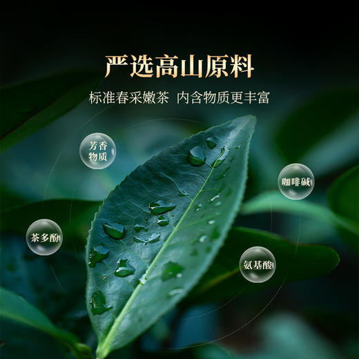 正山堂岩语 鸭屎香+蜜兰香单丛组合 茶叶正宗乌龙茶罐装口粮茶自己喝200g 商品图6