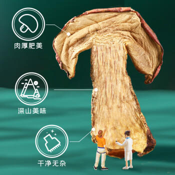 富昌 牛肝菌88g 云南特产 见手青山珍南北干货食用菌煲汤食材 商品图5
