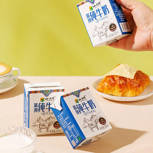 【光明&小西牛】高原纯牛奶自有牧场纯牛奶家庭特惠小盒装牛奶早餐奶200ml*10盒 商品图7