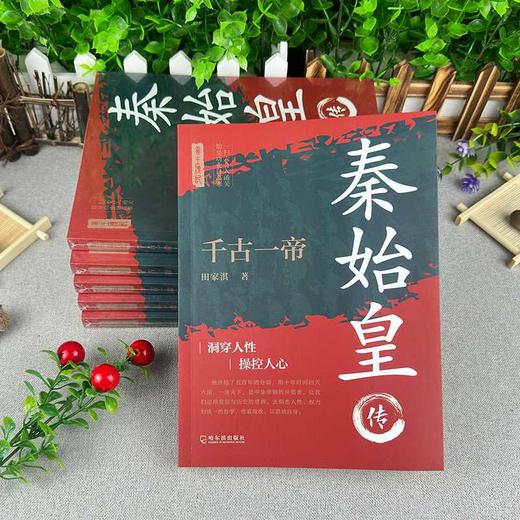 千古一帝:秦始皇传 商品图4