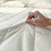 自然醒四季款全棉舒适抗菌两用床褥双面纯棉德芙绒床垫防滑可洗家用软垫床褥被LN 商品缩略图11