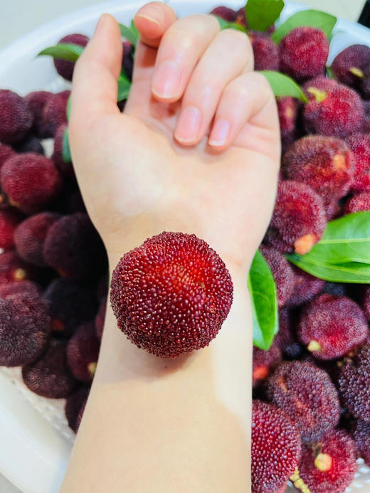 【产地直采】9.9元/斤 超大果东魁杨梅（2斤起售） 商品图4