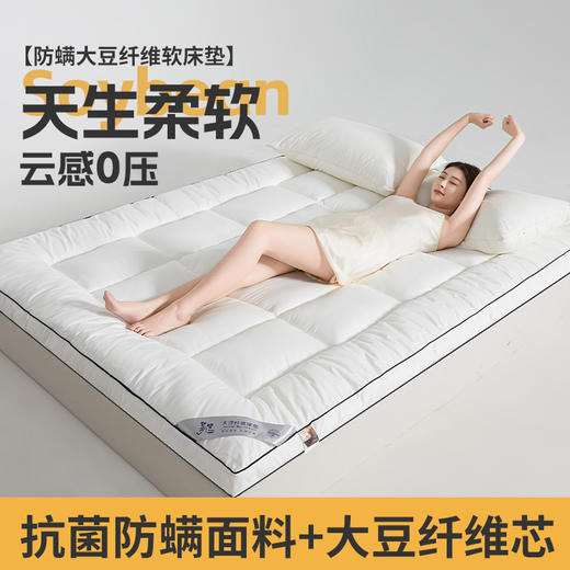 自然醒A类大豆抗菌防螨软床垫五星级酒店家用卧室垫被褥子铺底榻榻米租房专用LN 商品图7