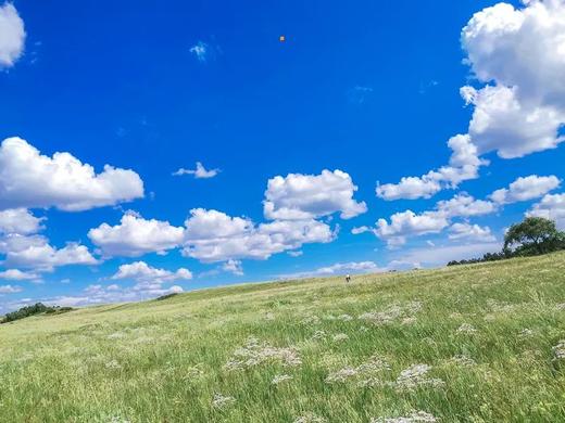 2025探秘珠峰8天7晚之旅 商品图0