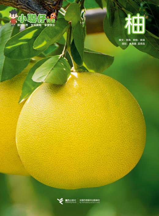 【社群专属】小聪仔（科普版）幼儿科普启蒙杂志天花板，专为2-8岁儿童设计的科普期刊！ 商品图2