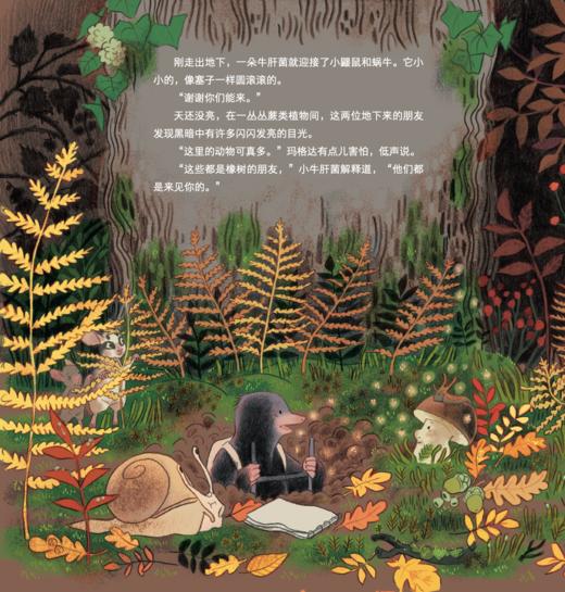 《大自然的魔法课》（全4册） 商品图12