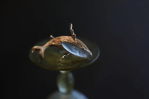 爱潜入一片蓝蓝深海｜鲸鱼 商品图3