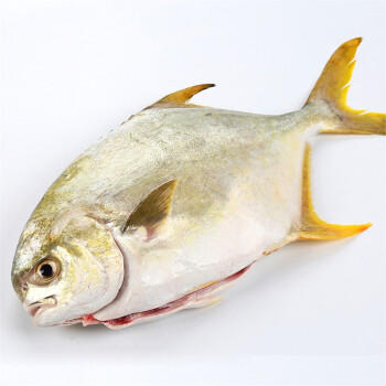 1号会员店（One's Member）甄选海南二去金鲳鱼 700g/2条装 去鳃去内脏 生鲜 鱼类 海鲜水产  /生鲜 /海鲜水产 /鱼类 商品图5