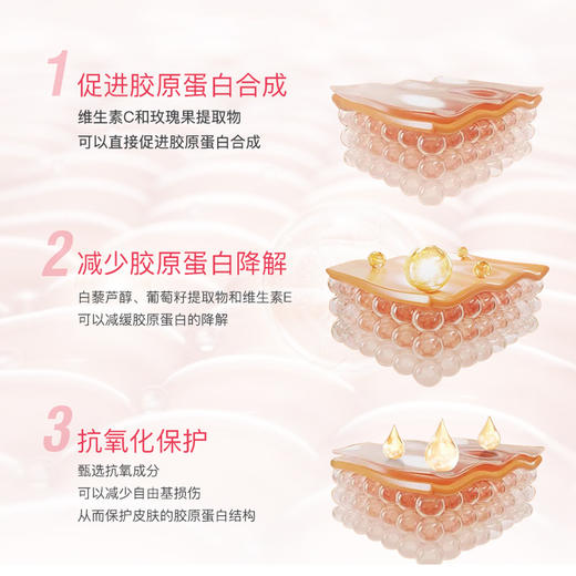 Naturopathica纽萃凯纯素食者 胶原蛋白胶囊60粒 商品图4