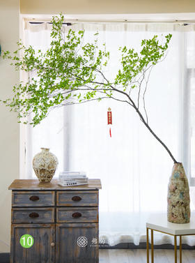 日本吊钟⑩（不含瓶）